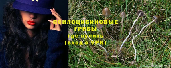 MESCALINE Аркадак