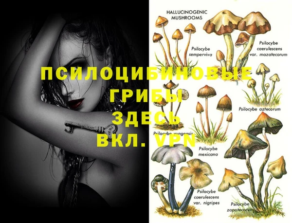 a pvp Армянск