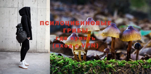 MESCALINE Аркадак