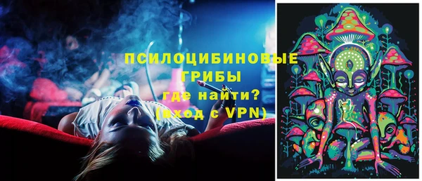 эйфоретик Алзамай