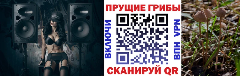 Галлюциногенные грибы прущие грибы  Саров 