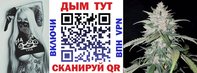 где можно купить наркотик  Саров  МАРИХУАНА SATIVA & INDICA 